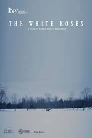 The White Roses' Poster