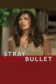 Stray Bullet' Poster