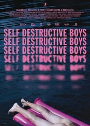 Self Destructive Boys' Poster