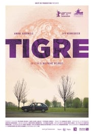Tigre' Poster