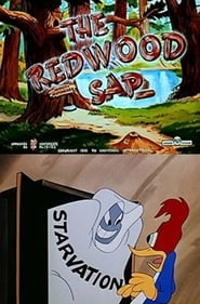 The Redwood Sap' Poster