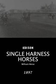 Single Harness Horses' Poster