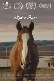 Alpha Mare' Poster