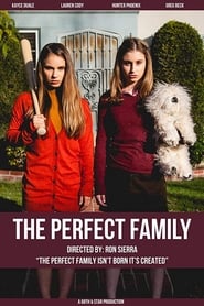 The Perfect Family' Poster