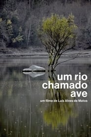 Um Rio Chamado Ave' Poster