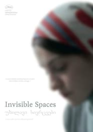 Invisible Spaces' Poster