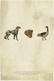 Dog Meet Goose' Poster