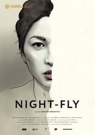 NightFly' Poster
