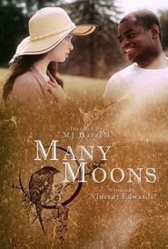 Many Moons' Poster