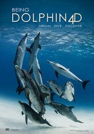 Being Dolphin 4D' Poster