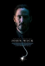 John Wick The Assassins Code' Poster