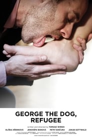 George the Dog Refugee
