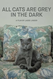 All Cats Are Grey in the Dark' Poster