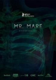 Mr Mare' Poster