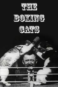 The Boxing Cats Prof Weltons' Poster