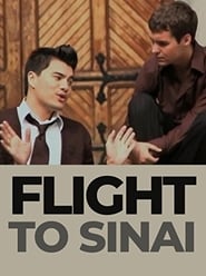 Flight to Sinai' Poster