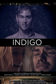 Indigo' Poster