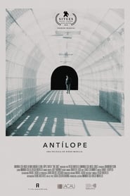 Antlope' Poster