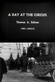 Day at the Circus' Poster