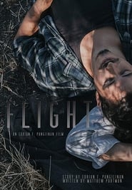 Flight' Poster