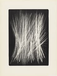 Visite  Hans Hartung' Poster