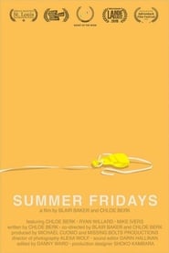 Summer Fridays' Poster