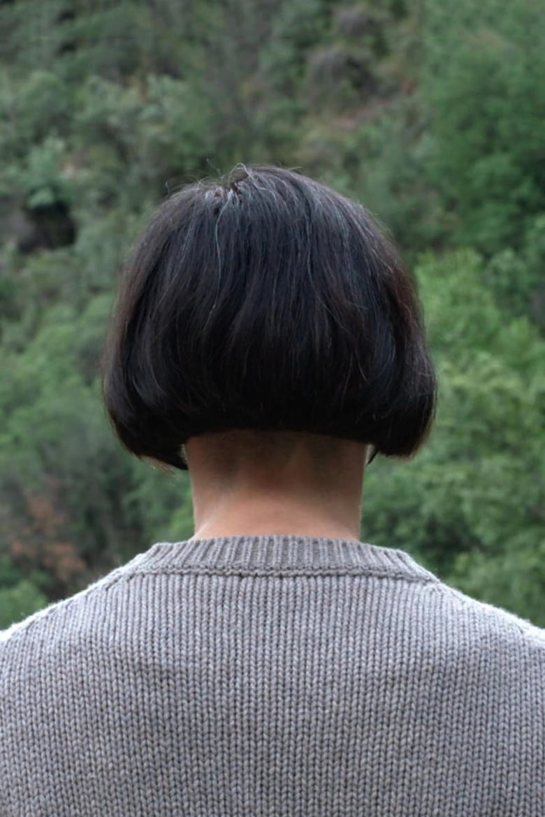 El Sueño de Ana Poster