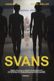 Swans' Poster