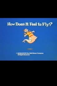 How Does It Feel to Fly' Poster