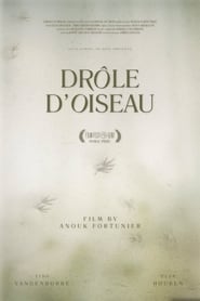 Drle dOiseau' Poster