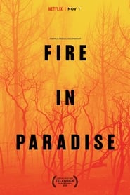Fire in Paradise' Poster