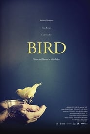 Bird' Poster