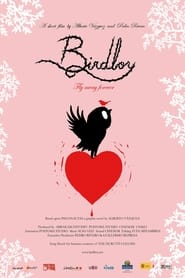 Birdboy' Poster