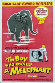 The Boy Who Owned a Melephant' Poster