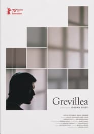 Grevillea' Poster