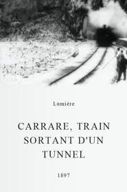 Carrare train sortant dun tunnel' Poster