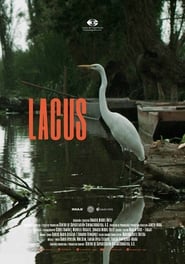 Lacus' Poster