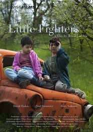 Little Fighters' Poster
