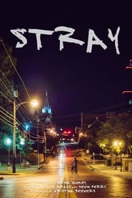 Stray' Poster