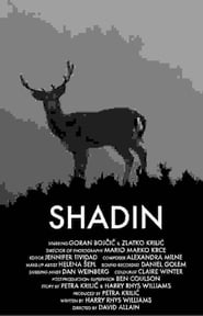 Shadin' Poster