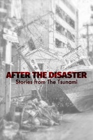 After the Disaster Stories from the Tsunami' Poster