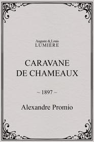 Caravane de chameaux' Poster