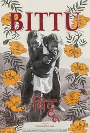 Bittu' Poster