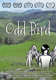 Odd Bird' Poster