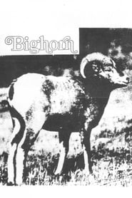 Bighorn' Poster