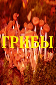 Mushrooms' Poster