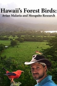 Hawaiis Forest Birds Avian Malaria and Mosquito Research' Poster