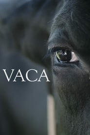 Vaca' Poster