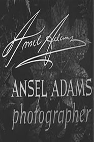 Ansel Adams Photographer' Poster