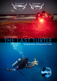 The Last Turtle' Poster